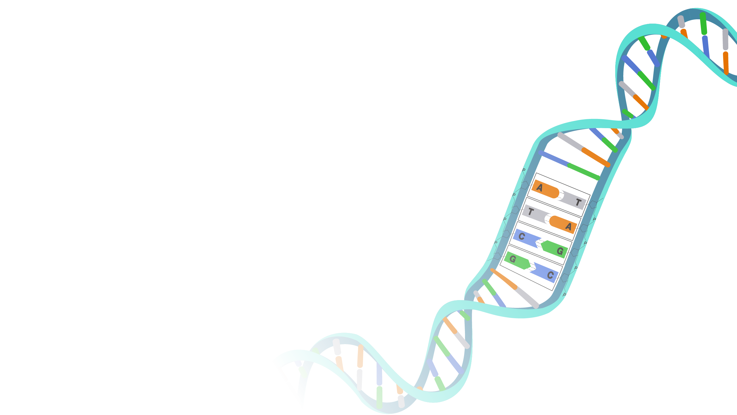 Genomics and molecular biology illustration